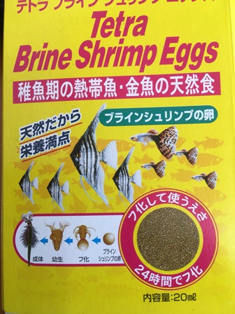 �u���C���V�������v