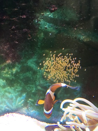 �܂����I�H