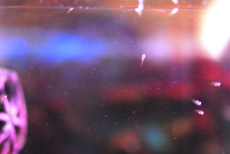 �N�}�m�~�t��