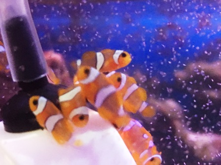 ����1����