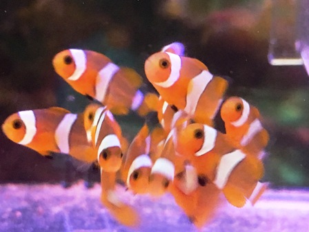 ����2����