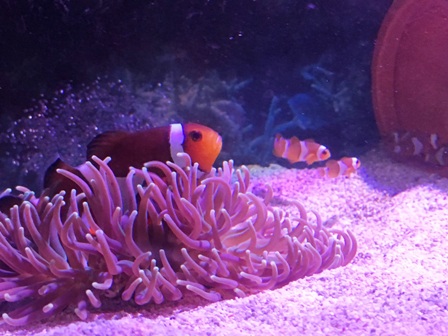 �t������