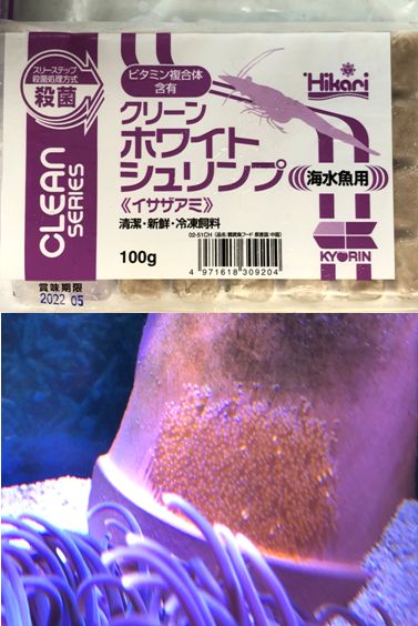 �ɐB�����2�e