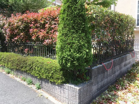 ���b�h���r���̙���