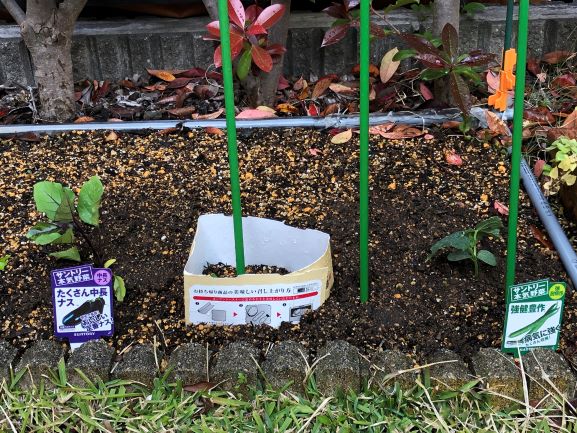 ���イ��ƃi�X�̕c