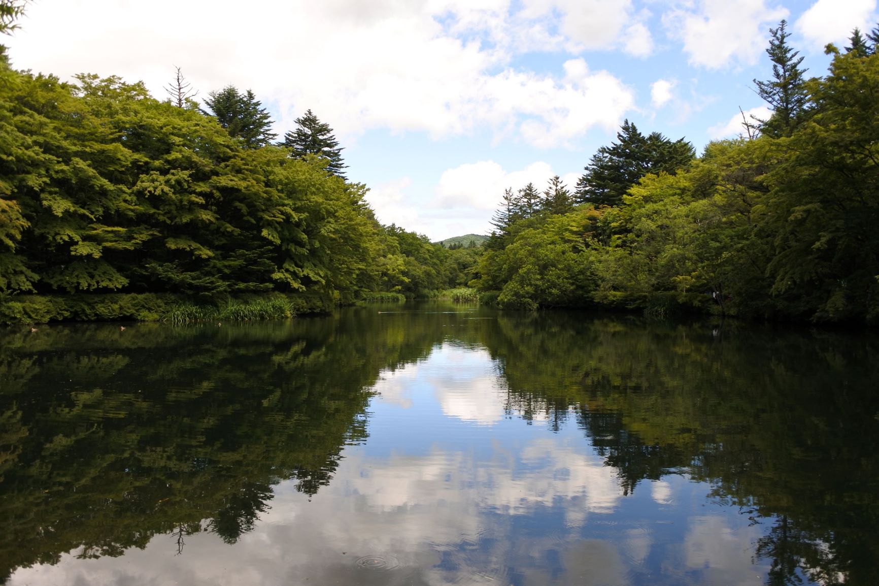 �_��r�i�y���j