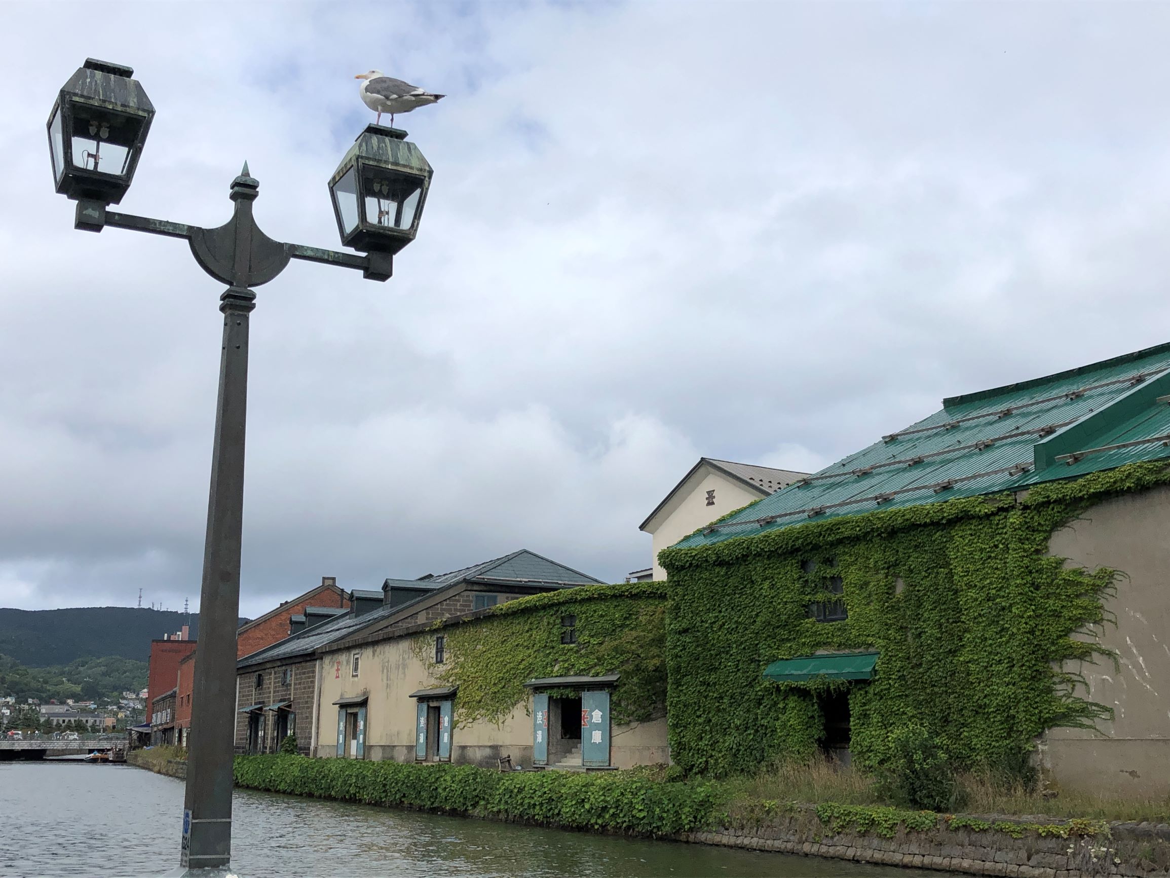 ���M�^��