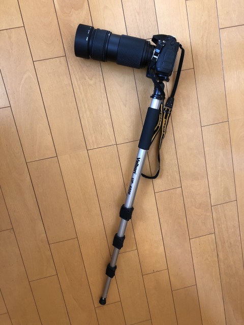 ��r�̓���