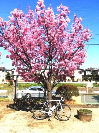 ���O���炫