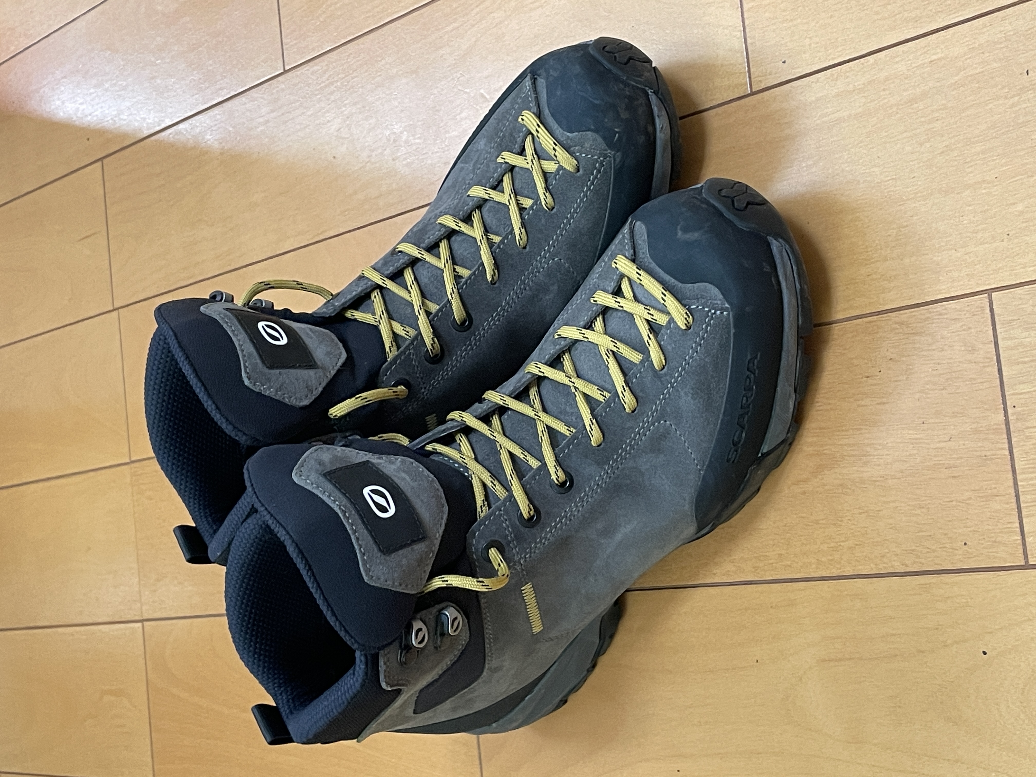 �V�����g���b�L���O�V���[�Y