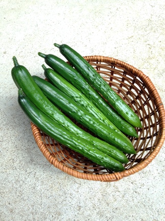 �L���E���̍ō��{��