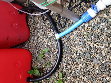 �����V�X�e��