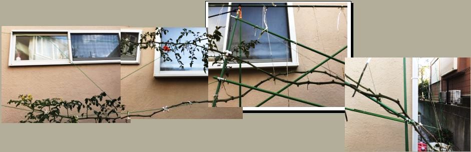 �}��4m�L�΂����g�}�g