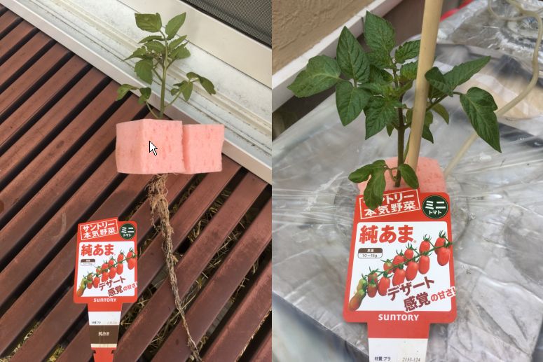 ����āu�����܁v��A