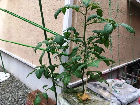 3�{�d����