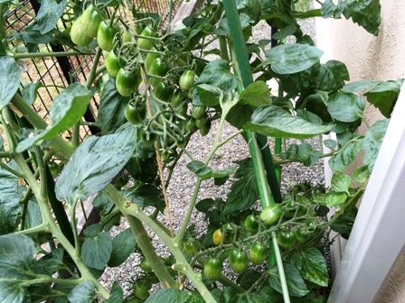 �����������n