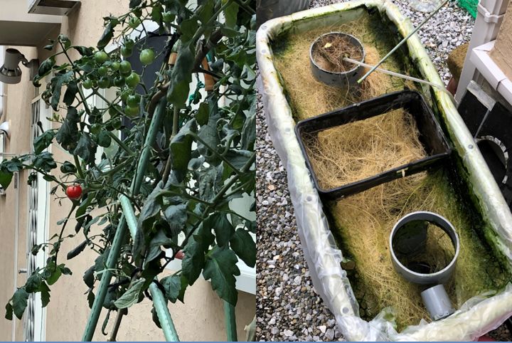 2020�N�x�I��