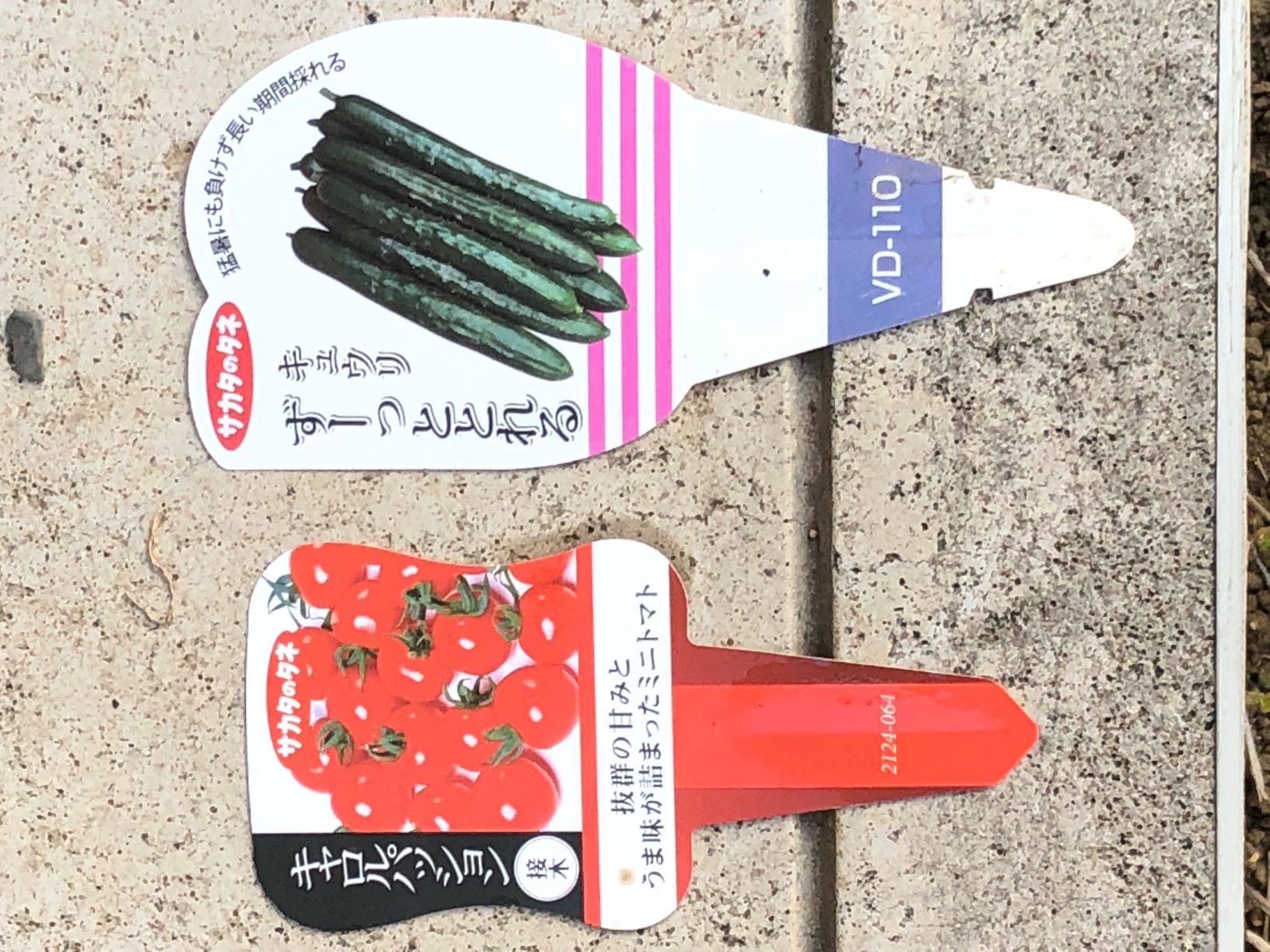 2020�N�x�I��