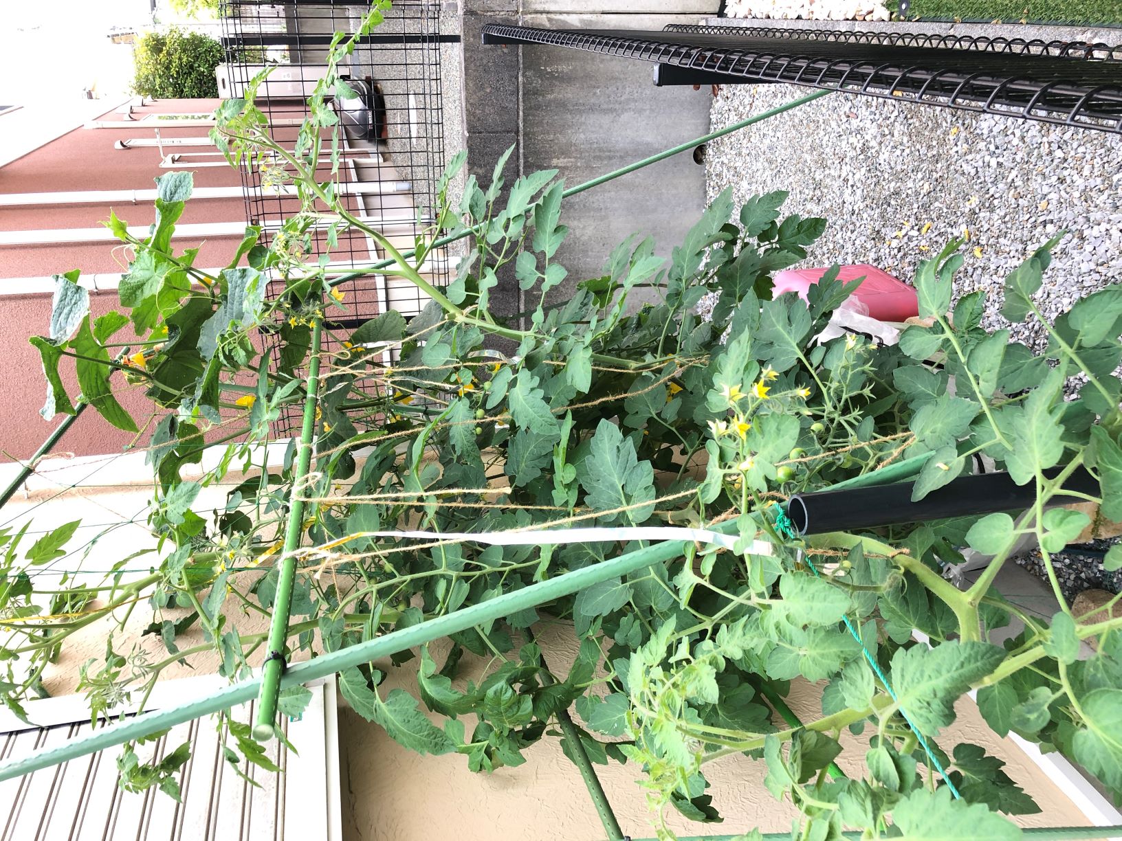 1������̏�