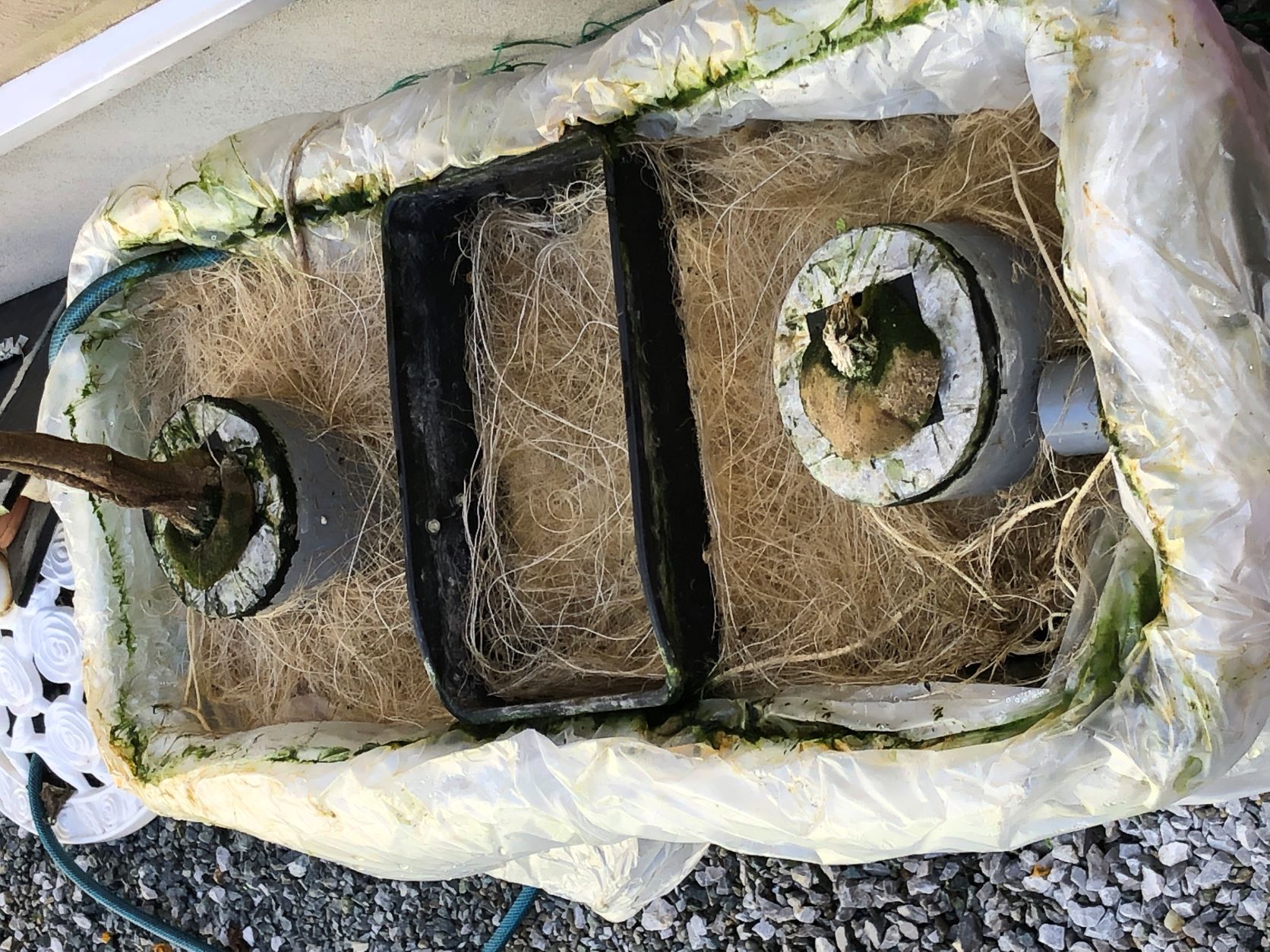 �V�[�Y���I��