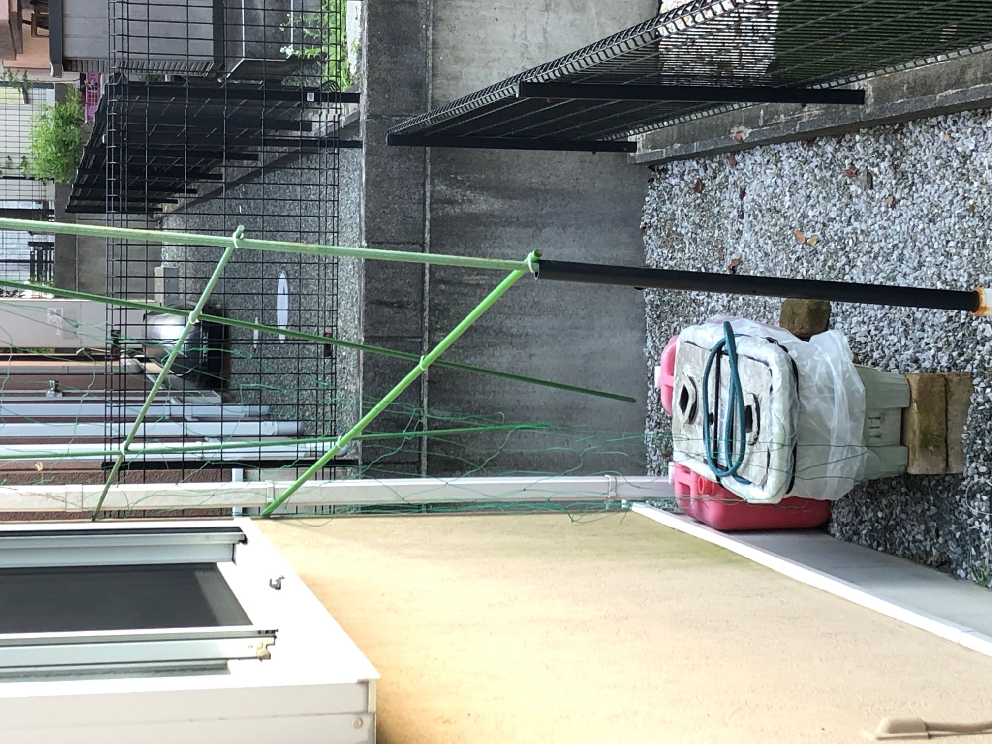 1������̏�