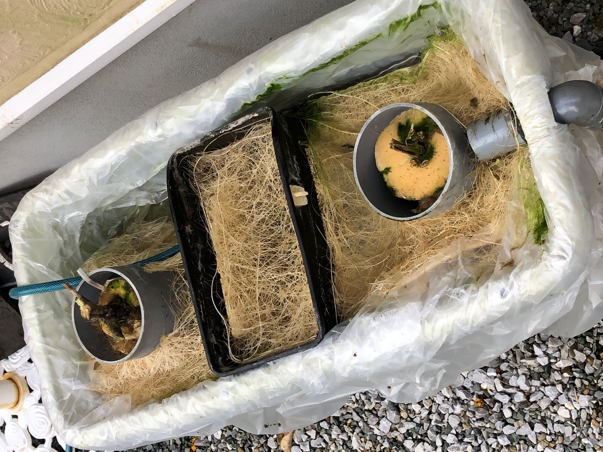 ���n�I��