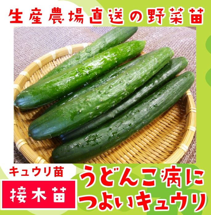 �L���E���̕c