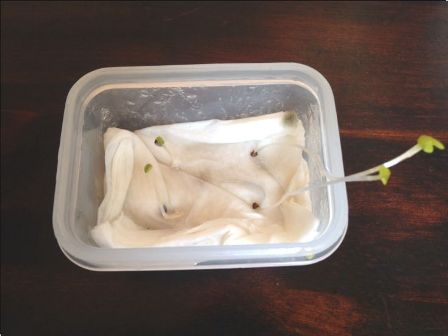 ���肵���o�W��