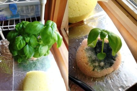 �ꕔ�o�W���c�ƐA���ւ�