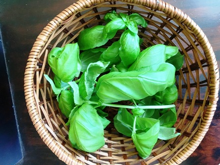 ���n�����o�W��