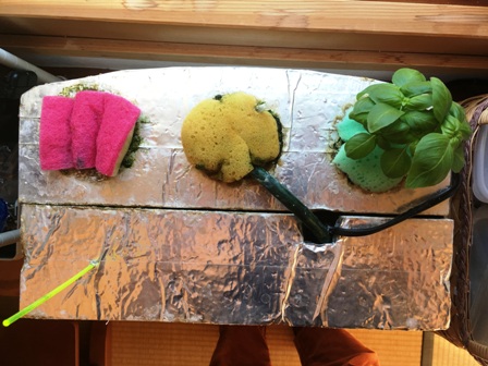 2019�N�̐A���t��