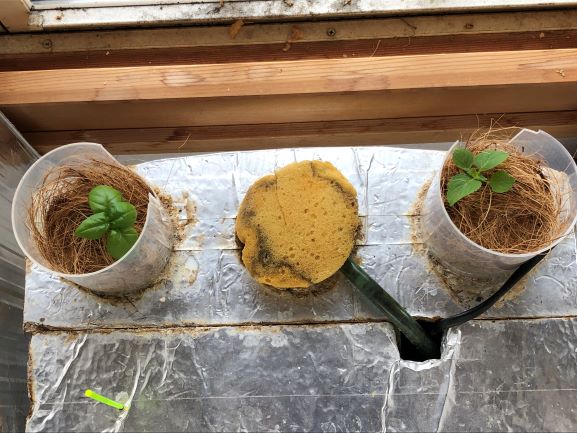 �V�\�ƃo�W��